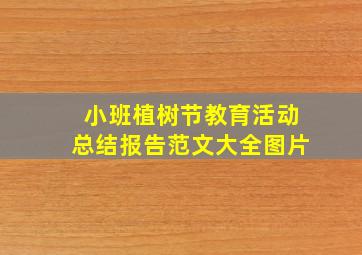 小班植树节教育活动总结报告范文大全图片