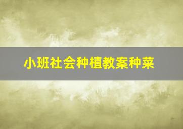 小班社会种植教案种菜