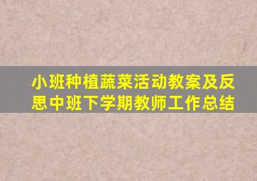 小班种植蔬菜活动教案及反思中班下学期教师工作总结