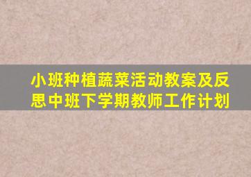 小班种植蔬菜活动教案及反思中班下学期教师工作计划