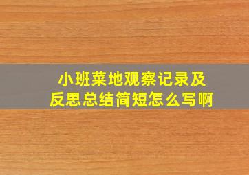 小班菜地观察记录及反思总结简短怎么写啊