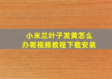 小米兰叶子发黄怎么办呢视频教程下载安装