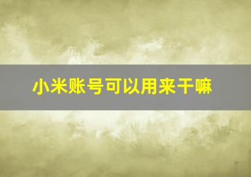 小米账号可以用来干嘛