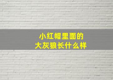 小红帽里面的大灰狼长什么样