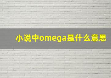 小说中omega是什么意思