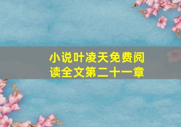 小说叶凌天免费阅读全文第二十一章