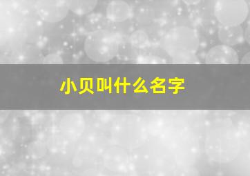 小贝叫什么名字