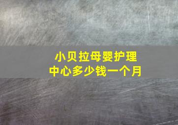 小贝拉母婴护理中心多少钱一个月