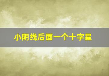 小阴线后面一个十字星