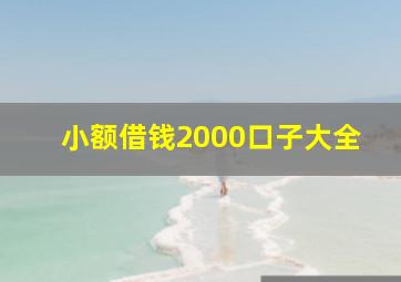 小额借钱2000口子大全