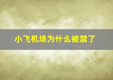 小飞机场为什么被禁了