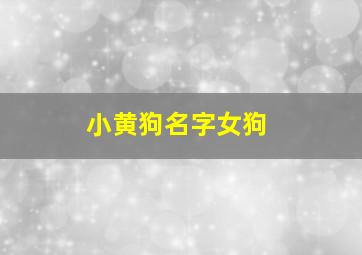 小黄狗名字女狗