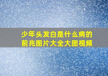 少年头发白是什么病的前兆图片大全大图视频