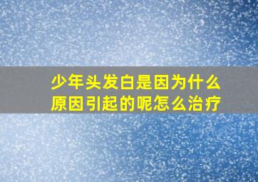 少年头发白是因为什么原因引起的呢怎么治疗