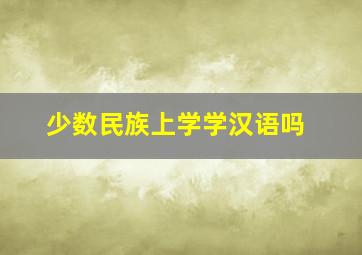 少数民族上学学汉语吗