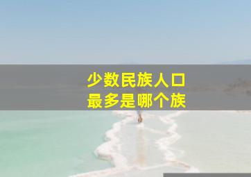 少数民族人口最多是哪个族