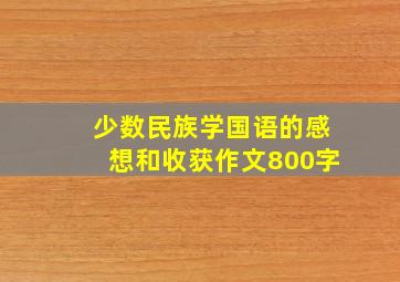 少数民族学国语的感想和收获作文800字