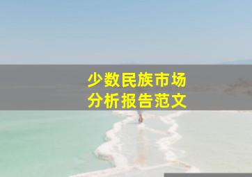 少数民族市场分析报告范文