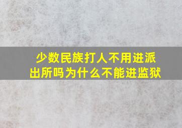 少数民族打人不用进派出所吗为什么不能进监狱