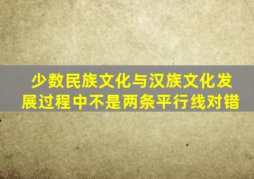 少数民族文化与汉族文化发展过程中不是两条平行线对错