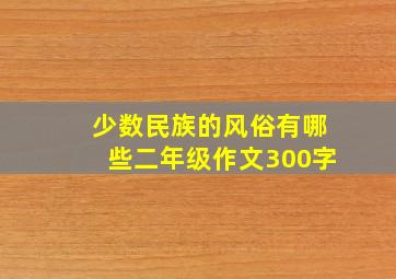 少数民族的风俗有哪些二年级作文300字