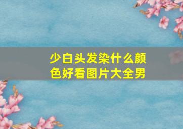 少白头发染什么颜色好看图片大全男