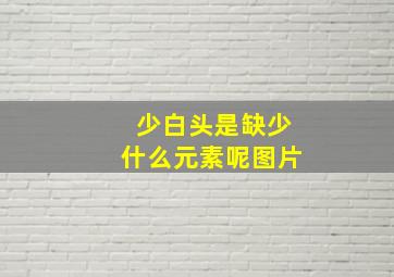 少白头是缺少什么元素呢图片