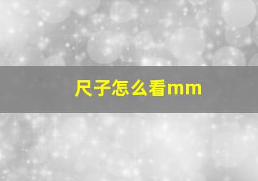 尺子怎么看mm