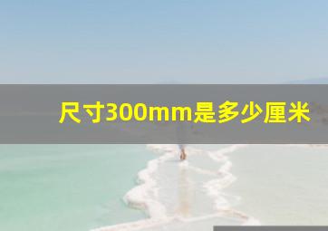 尺寸300mm是多少厘米