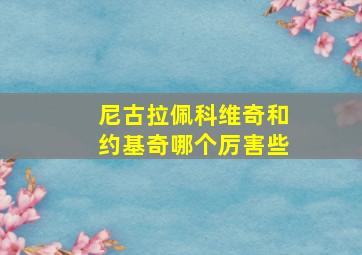 尼古拉佩科维奇和约基奇哪个厉害些