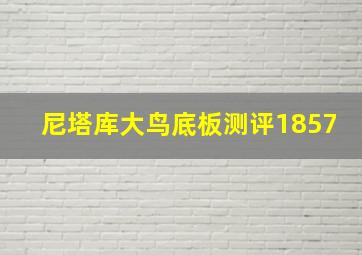 尼塔库大鸟底板测评1857