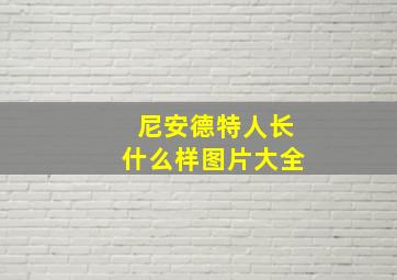 尼安德特人长什么样图片大全