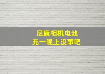 尼康相机电池充一晚上没事吧