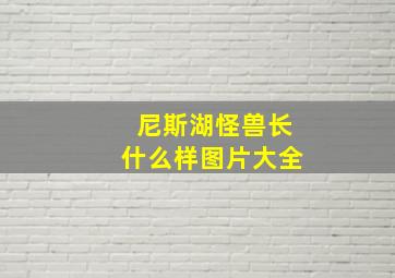 尼斯湖怪兽长什么样图片大全