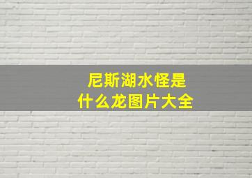 尼斯湖水怪是什么龙图片大全