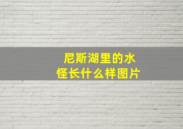 尼斯湖里的水怪长什么样图片