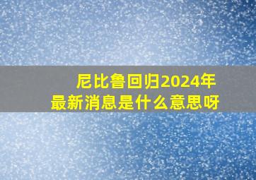 尼比鲁回归2024年最新消息是什么意思呀