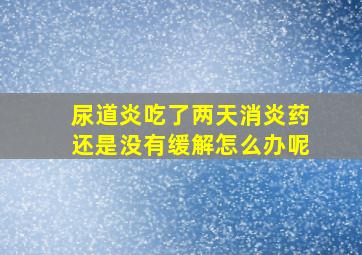 尿道炎吃了两天消炎药还是没有缓解怎么办呢