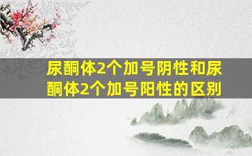 尿酮体2个加号阴性和尿酮体2个加号阳性的区别