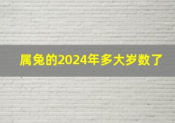 属兔的2024年多大岁数了