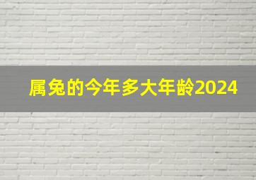 属兔的今年多大年龄2024