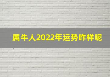 属牛人2022年运势咋样呢