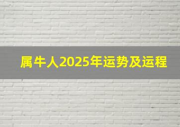 属牛人2025年运势及运程