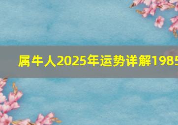 属牛人2025年运势详解1985