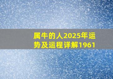 属牛的人2025年运势及运程详解1961