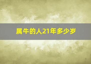 属牛的人21年多少岁