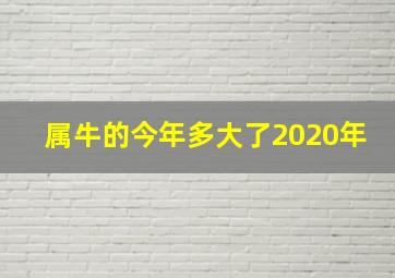 属牛的今年多大了2020年