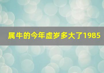 属牛的今年虚岁多大了1985