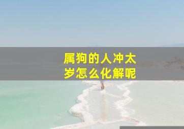 属狗的人冲太岁怎么化解呢