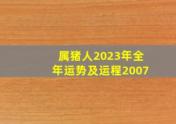 属猪人2023年全年运势及运程2007